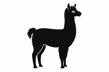 alpaca sihouette black vector