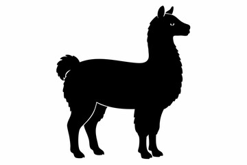 alpaca sihouette black vector