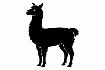 alpaca sihouette black vector