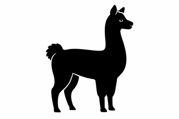 alpaca sihouette black vector
