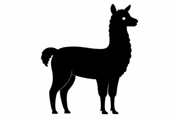 alpaca sihouette black vector