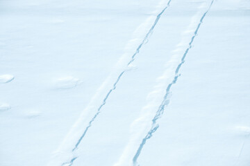 The snow is white and the ground is covered in tracks