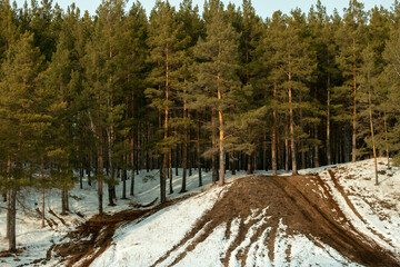 a hill near a forest where people ride motorcycles