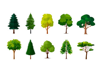 Variety of trees: evergreen to deciduous - 10 distinct types on transparent background, PNG