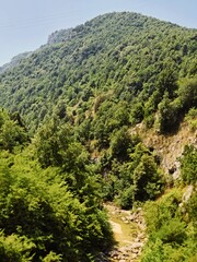 Scatti e Registrazioni Varie