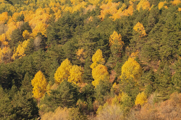 Fototapeta premium autumn on mountains