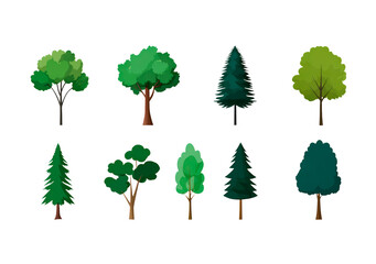 Variety of tree illustrations: diverse species and shapes on transparent background, PNG