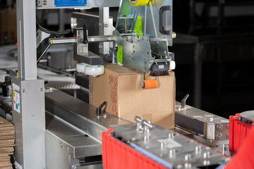Automated Conveyor System with Industrial Package Transport
