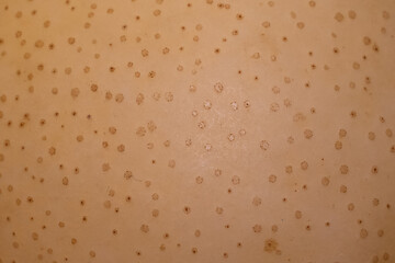 A close up of a tan surface with many small dots