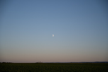 A moon is in the sky above a field of green grass