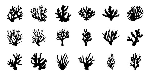 Hand Drawn Underwater Coral Reefs with Colorful Tropical Fish – Marine Ocean Life Illustration