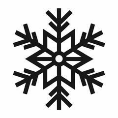 snow flacks silhouette vector
