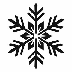snow flacks silhouette vector