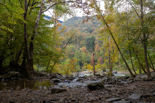 Beautiful landscape view of New River Gorge National Park in West Virginia.