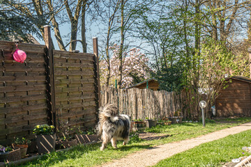 Der Garten im Frühling nach getaner Arbeit