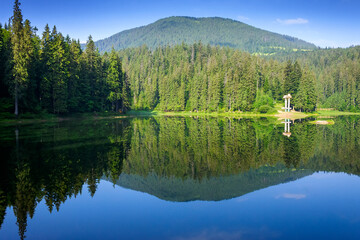 scenic landscape with lake among coniferous forest. tranquil reflection of primeval carpathian woodland in mountains of ukraine. peaceful sunny morning in summer with blue sky