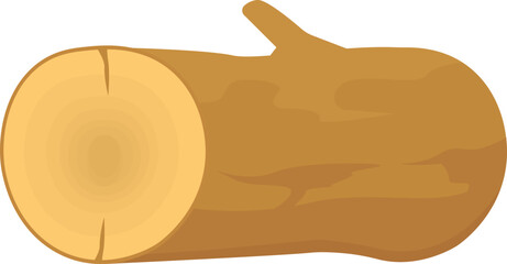 Camping and Outdoor Adventure Gear