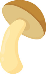 Camping and Outdoor Adventure Gear