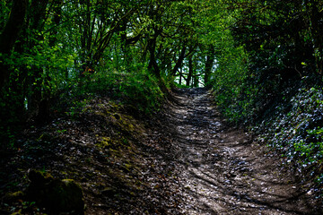 beautiful morning in the ancient city of Eichstatt
