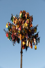 Der traditionelle Maibaum in der Eifel