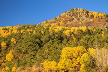 Fototapeta premium fall in the mountains