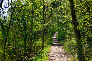 beautiful morning in the ancient city of Eichstatt