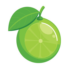 Green Lime with Leaf Vector Image