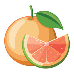 Illustration of a Grapefruit