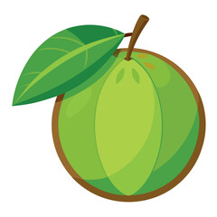 Illustration of a bright green plum with a leaf, ideal for educational or children's materials and designs