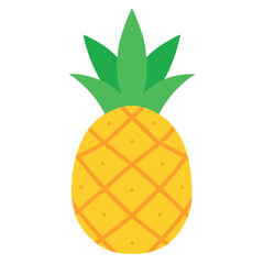 Pineapple Illustration