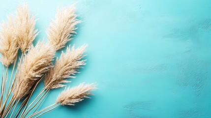 Light beige pampas grass on a vibrant teal background.