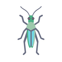 Stylized Graphic of a Green and Blue Beetle on a transparent background colorful vector icon