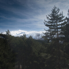 paisaje de sierra nevada