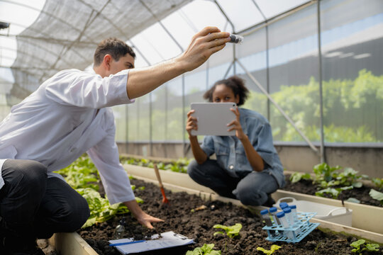 Teenage students studying and analyzing soil in research project, with scientists analyzing samples in greenhouse. Greenhouse experiments on soil nutrients. Practical training in agricultural lab - Powered by Adobe