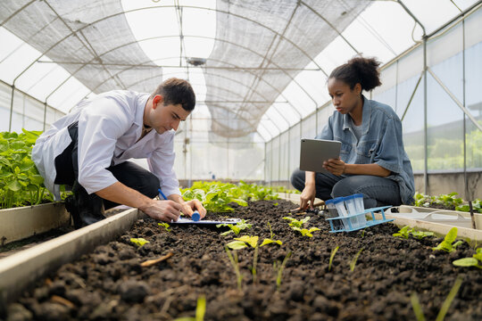 Practical agricultural studies of adolescent students, with scientists providing guidance, demonstrating hypotheses on soil sampling and data recording in greenhouse. Hands-on training in high school