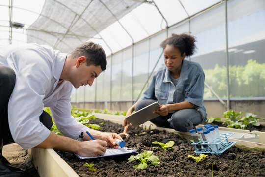 Practical agricultural studies of adolescent students, with scientists providing guidance, demonstrating hypotheses on soil sampling and data recording in greenhouse. Hands-on training in high school - Powered by Adobe