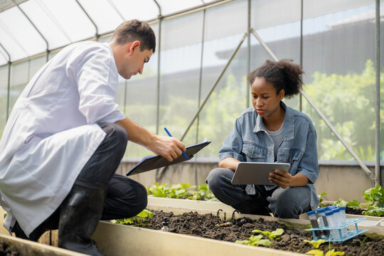 Practical agricultural studies of adolescent students, with scientists providing guidance, demonstrating hypotheses on soil sampling and data recording in greenhouse. Hands-on training in high school - Powered by Adobe
