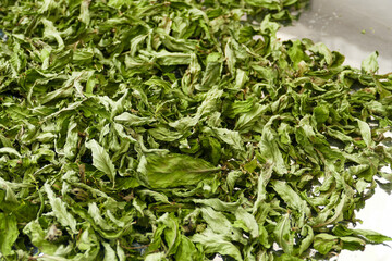 drying mint, drying homemade mint, close-up dried mints,