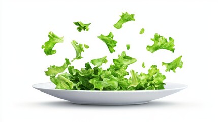 Fresh green lettuce leaves floating on a white plate, symbolizing healthy eating and vibrant culinary art.