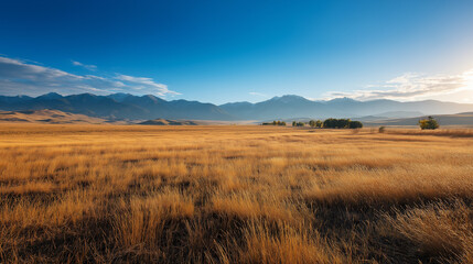 The wide grassland in the morning shone with golden mountain