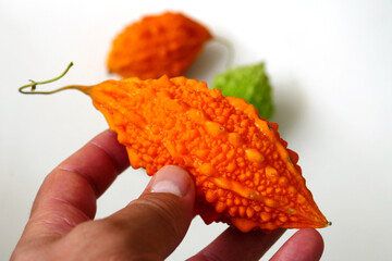 ripe and yellowed Momordica charantia (Mother melon) seeds of Momordica charantia, a medicinal fruit,