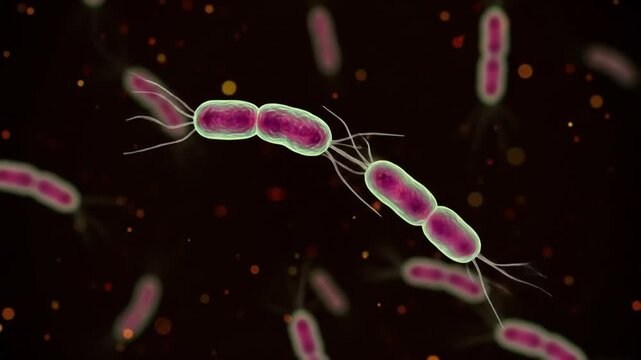 Colorful bacteria represented in a detailed digital illustration  