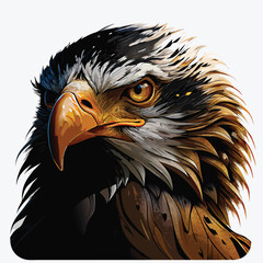 Majestic Eagle Head Illustration – Fierce Bird of Prey Art in Detail