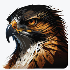 Majestic Eagle Head Illustration – Fierce Bird of Prey Art in Detail