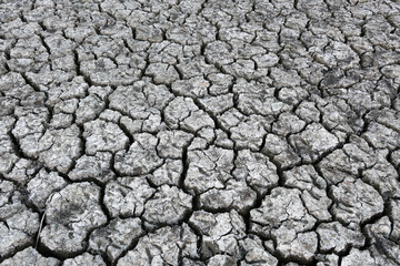 decrease in water levels and large-scale cracking of the soil as a result of drought, soil cracking as a result of drought,