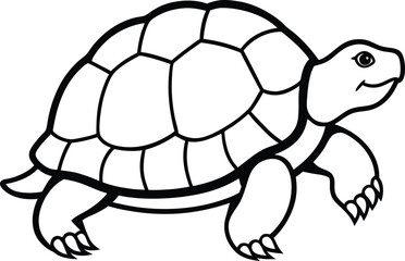 turtle vector illustration 