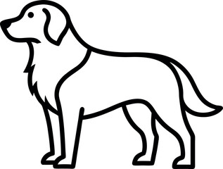 black and white dog