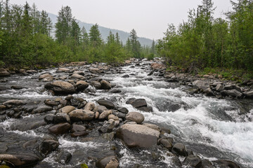 Rapids on a mountain stream.