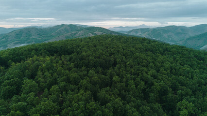 Fototapeta premium Aerial view of a dense green forest covering rolling hills in Serbia at sunsert. Mist lingers among the mountains under a cloudy sky during evening light