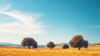 Three solitary trees stand sentinel in a golden field under a vibrant sky.